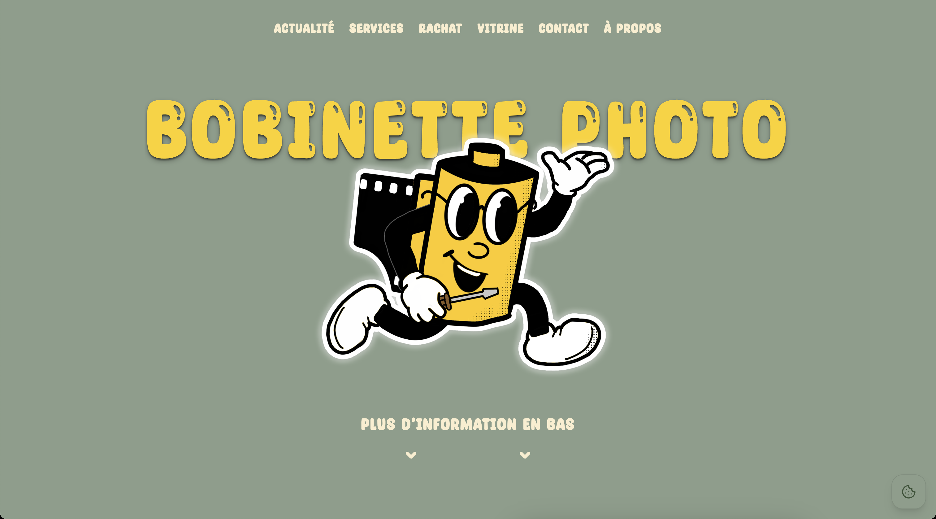 Aperçu du site bobinettephoto.fr